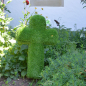 Preview: aniplants